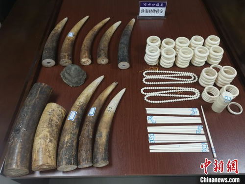 水口海關(guān)向林業(yè)局移交走私動(dòng)物制品，加強(qiáng)生物資源保護(hù)執(zhí)法合作